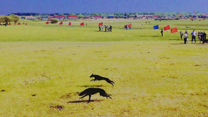 达斡尔族传统体育项目狗撵兔子比赛