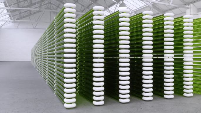 管状藻类生物反应器在仓库中固定二氧化碳以生产生物燃料作为替代燃料