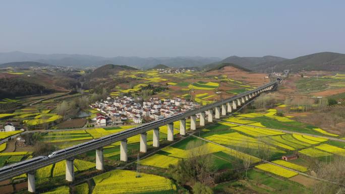 高铁穿过油菜花地航拍