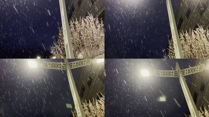 夜晚路灯下飘雪