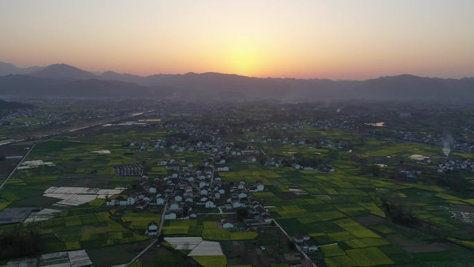 汉中油菜花航拍