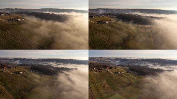 无人机拍摄的雾气翻滚在山坡上的乡村葡萄园