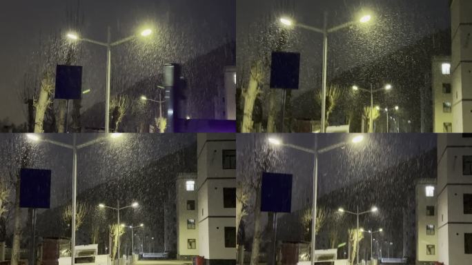 夜色下小区路灯下飘雪