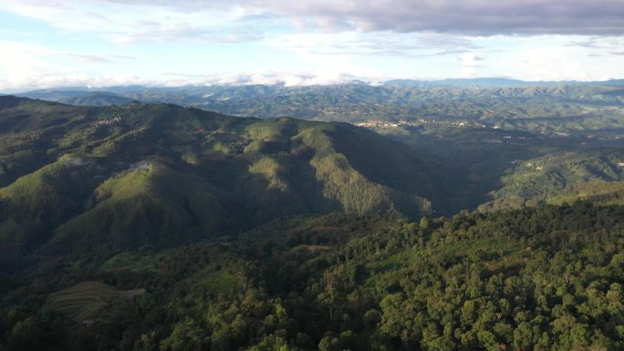 航拍景迈茶山大景