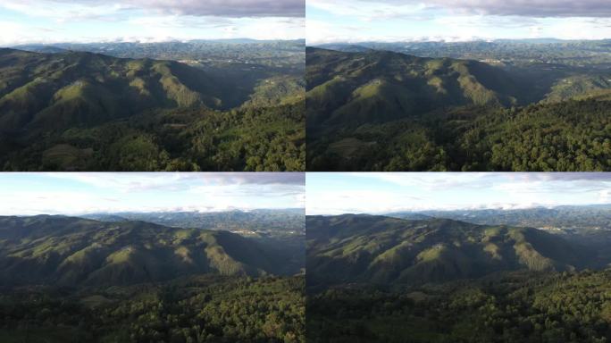 航拍景迈茶山大景