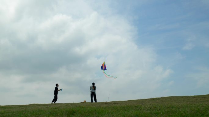 草地上放风筝