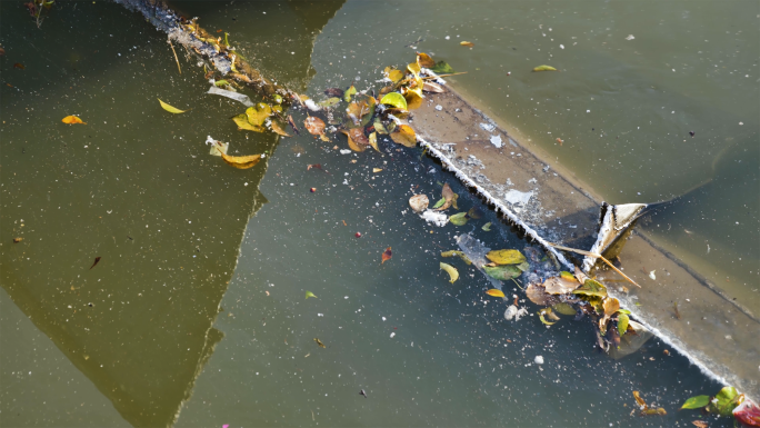 垃圾漂浮物 河上的垃圾 水污染