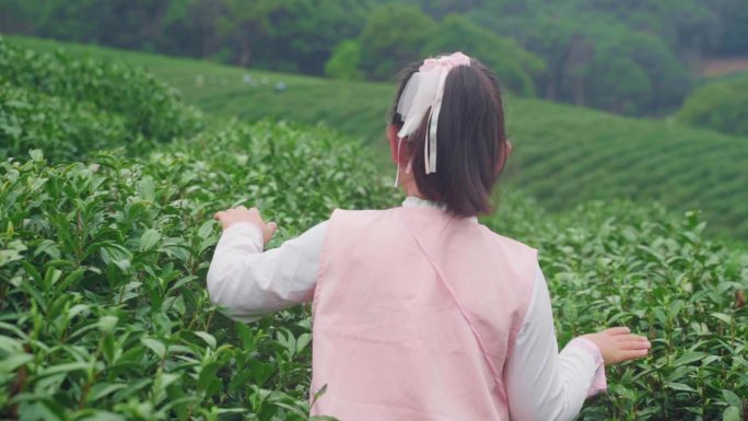 茶园里的小姑娘