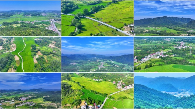 美丽乡村春回大地田园风光 田野 万亩良田