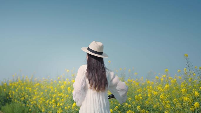 油菜花田美女单车 美女推单车背影 小清新