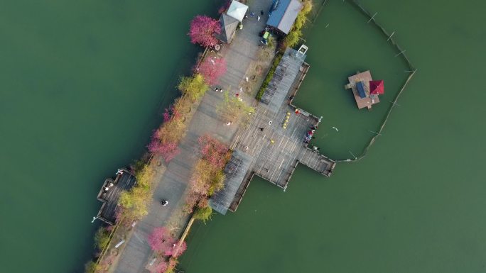 福建农林大学观音湖航拍