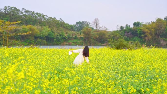 油菜花花海