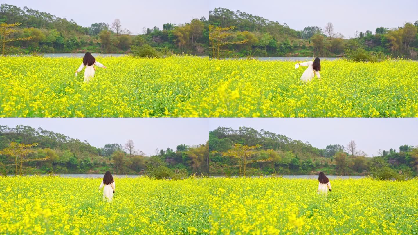 油菜花花海