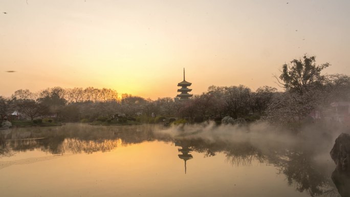 2024东湖樱园日出延时