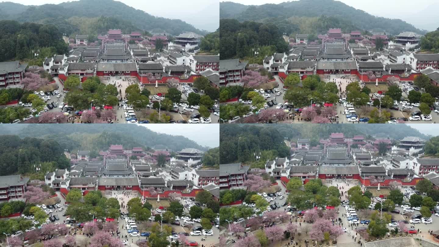 福州林阳寺梅花航拍