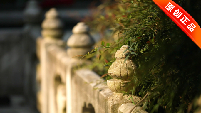 清晨寺院栏杆石栏禅意绿色植物