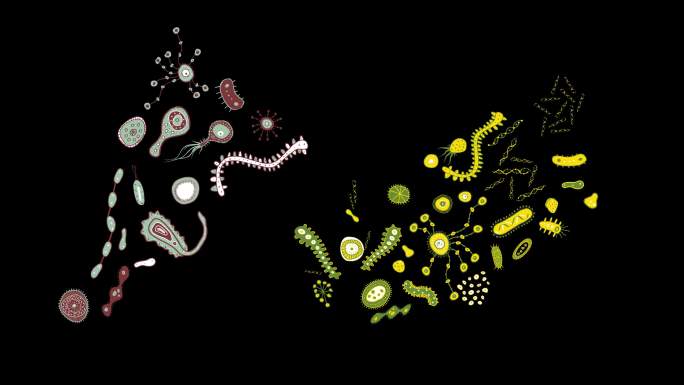 卡通病毒细菌鞭毛虫微生物 2组【带通道】