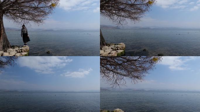 雾天中波光粼粼的洱海湖边