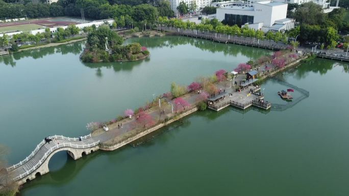 福建农林大学观音湖航拍