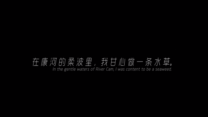 微电影字幕 浪漫字幕 歌词 青春 风格