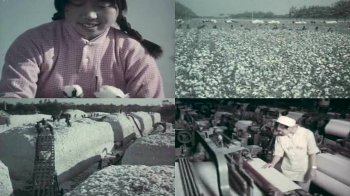 60年代农村棉花生产影像9