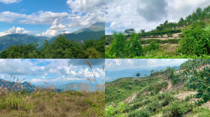 乡村蓝天美景山林茶园美景