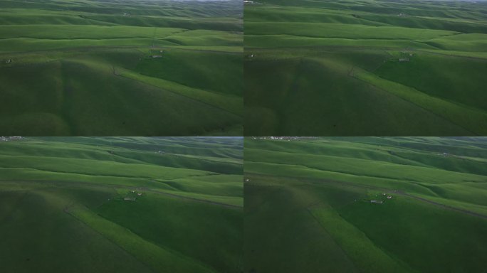 新疆北疆伊犁喀纳峻大草原鲜花台高空航拍