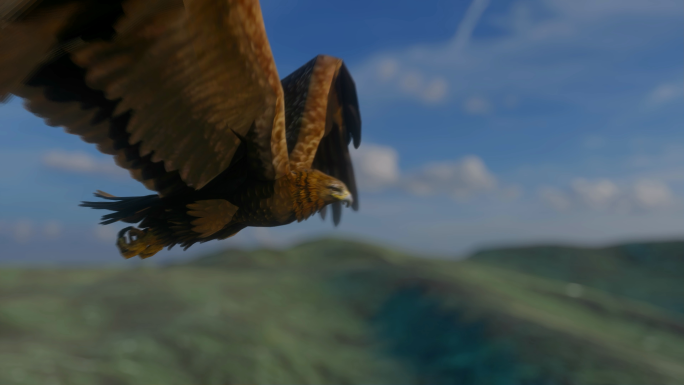 鹰雄鹰老鹰飞过高山群山森林展翅飞翔动画