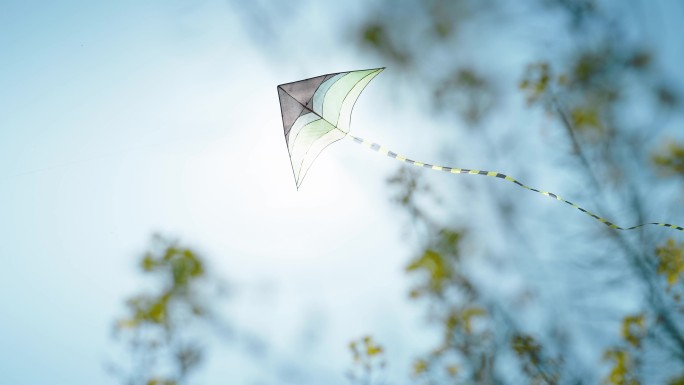 春天 放风筝 风筝飞翔在油菜花田上空