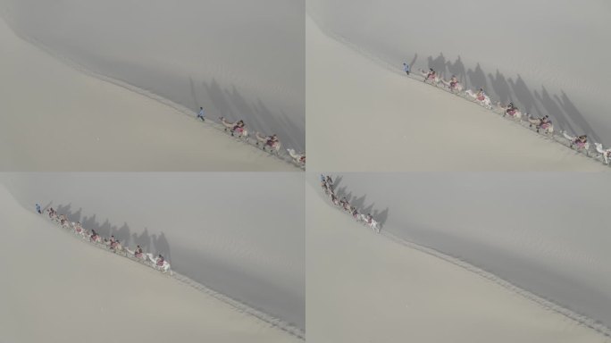 沙漠里的骆驼队 航拍素材