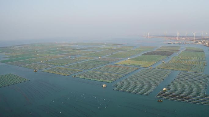 海水养殖基地