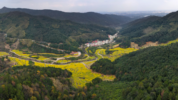 南昌湾里梅岭卫东村的油菜花梯田