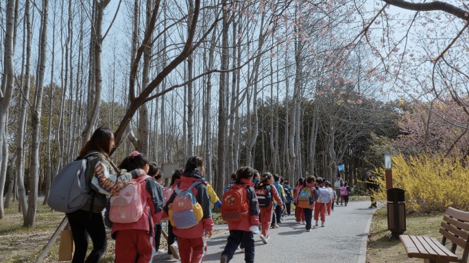 小学生樱花节春游列队