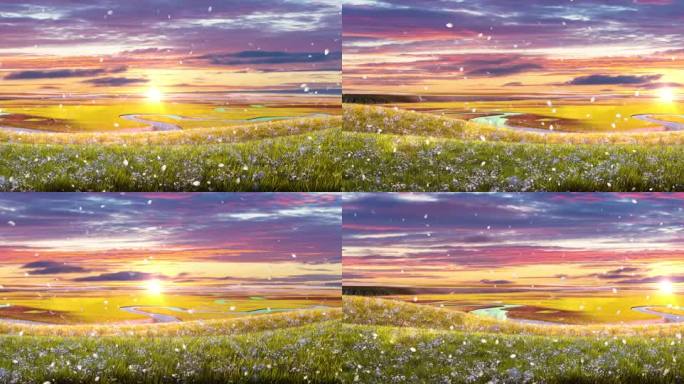唯美草原花海落日