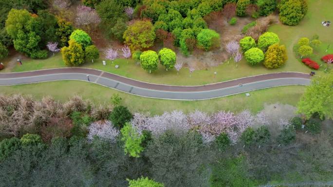 崇州羊马嘉裕湿地公园 春天户外湿地公园