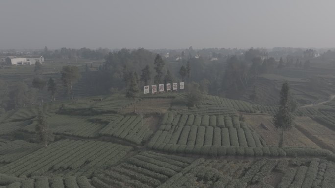 雅安市名山区骑龙村茶园城市标志建筑延时