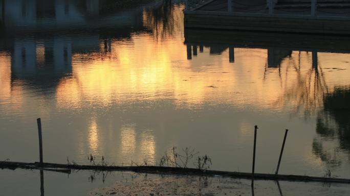 傍晚夕阳照耀下金色的水面倒影形成天然油画