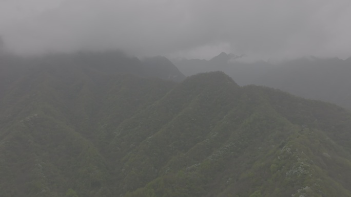 翠华山 航拍 山林云端