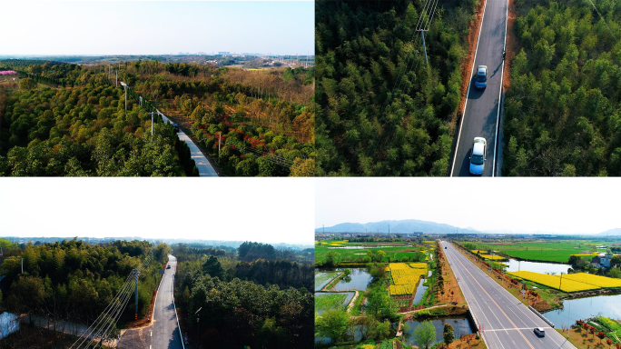 乡村公路绿色出行林荫小路