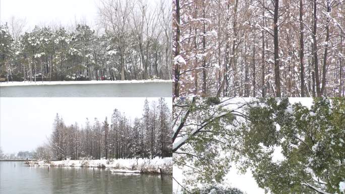 植物园 公园 雪景  树木 冰面 河面