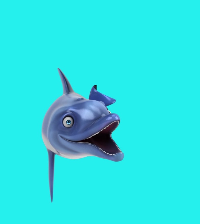 有趣的3D卡通海豚垂直动画(含alpha通道)