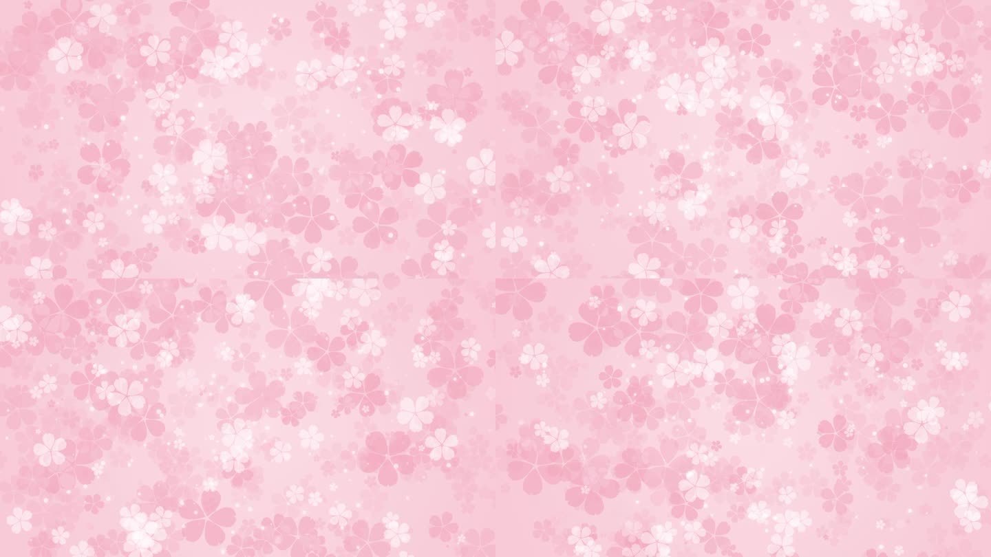 温和的动画粉红色背景与樱花。小的旋转花。循环4K动态图形。