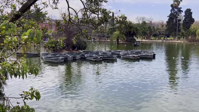 多艘划艇缓缓地漂浮在巴塞罗那一个宁静池塘的绿色水面上