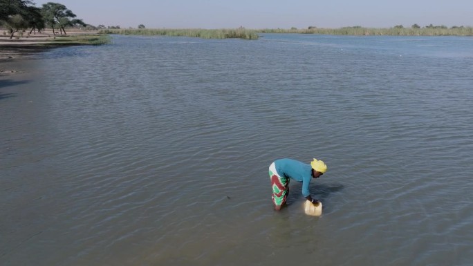 天线。一名黑人妇女将装满污水的塑料容器从塞内加尔河搬到驴车上。一群富拉尼牛来喝水。干旱、气候变化