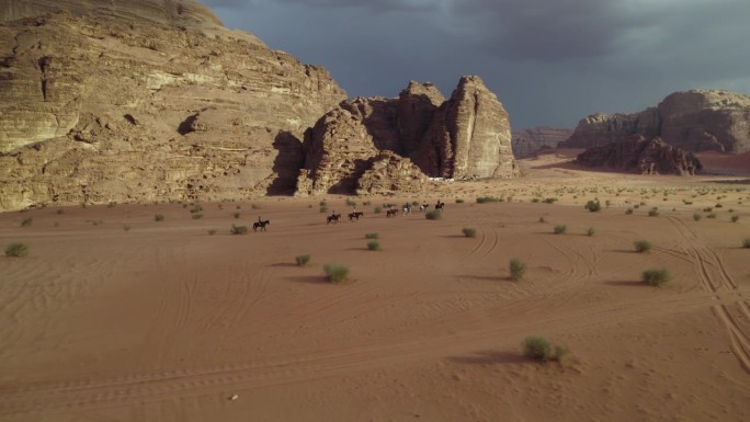 阿拉伯，中东瓦迪拉姆沙漠，空中，骑驴的人