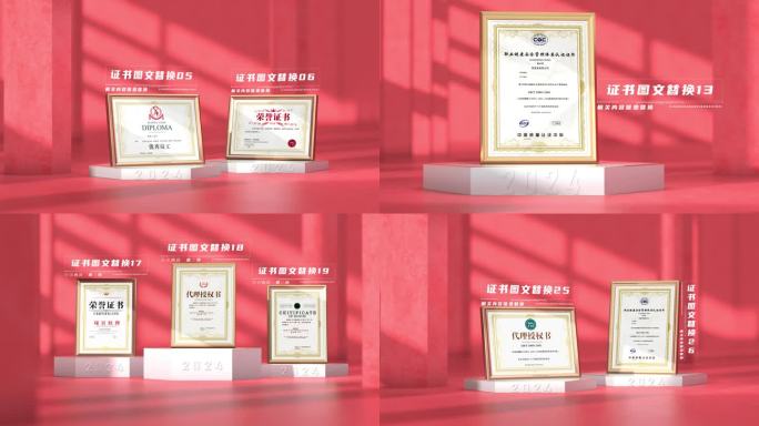 高端红色企业荣誉证书资质图片包装