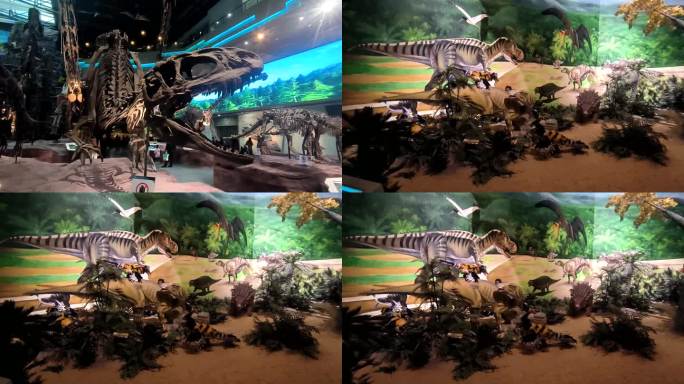 省地质博物馆 地质博物馆 恐龙化石 恐龙