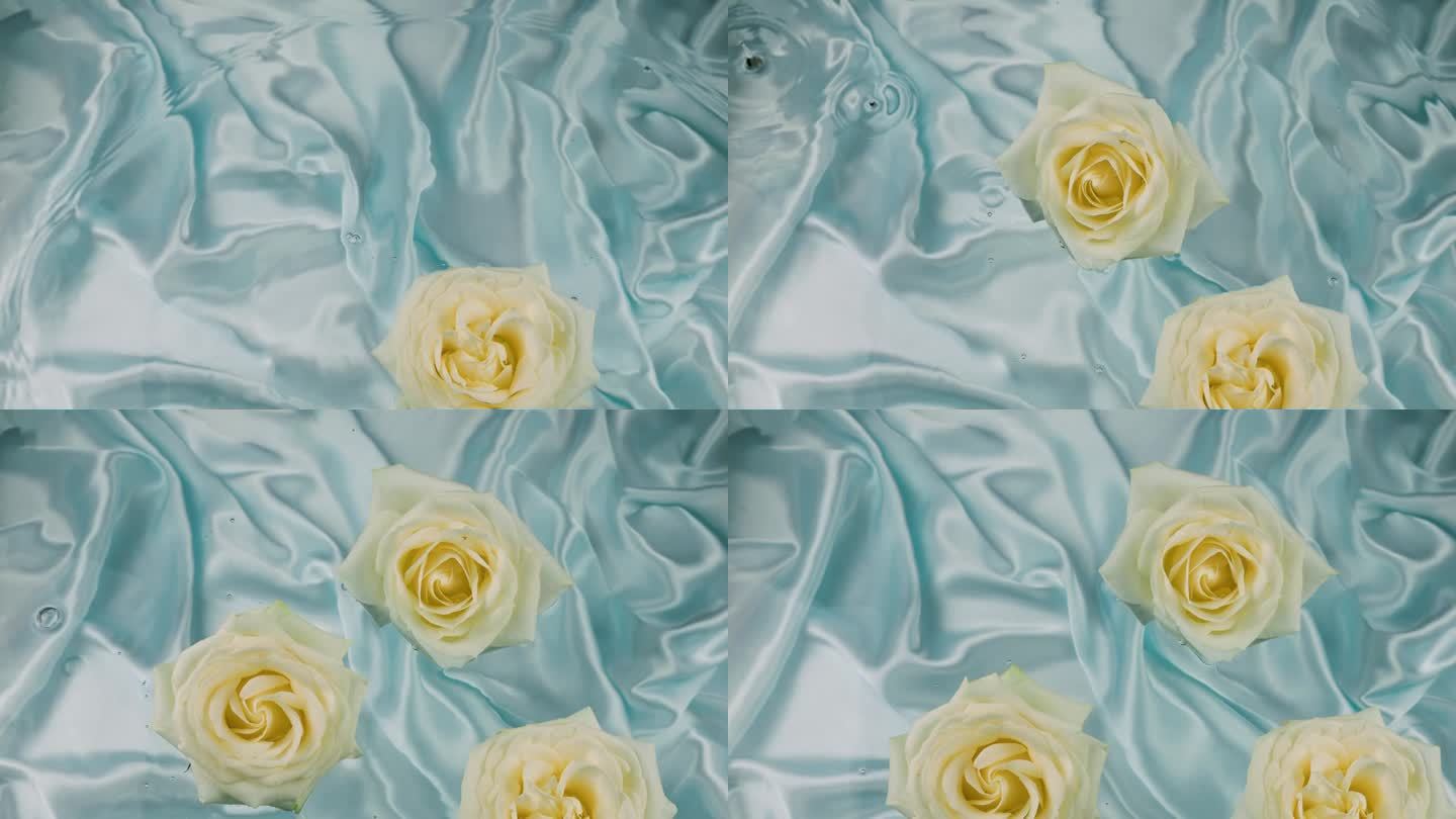 浅蓝色的背景上，白色的玫瑰花落在水面上。