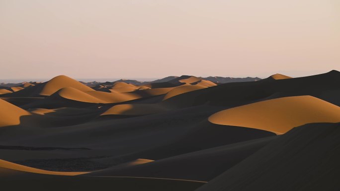 沙漠 金色 清晨的沙漠 静悄悄