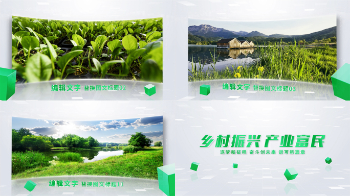 绿色生态农业单张图文包装长图照片展示AE